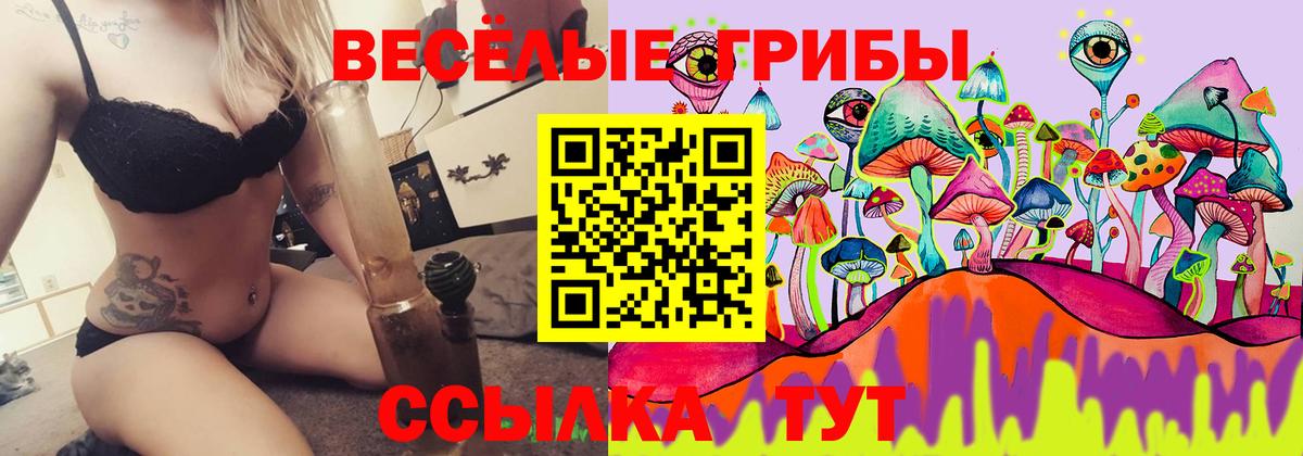 Галлюциногенные грибы прущие грибы Мончегорск